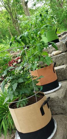 Mastiff Gears® Vigor Bag Smart Fabric Grow Bag – Water-Saving, Even Moisture, Deep Root Growth | High-Yield Planter with Water-Guard Liner & Bottom Aeration Mastiff Gears® Vigor Bag Smart Fabric Grow Bag – Water-Saving, Even Moisture, Deep Root Growth | High-Yield Planter with Water-Guard Liner & Bottom Aeration