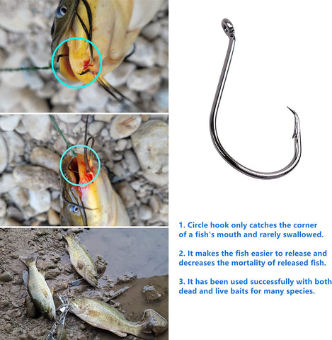 Mastiff Gears® 12 Pcs Pickerel rigs with Circle Hooks Mastiff Gears® 12 Pcs Pickerel rigs with Circle Hooks